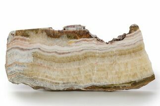 Polished Banded Travertine Slab - New Mexico #324319