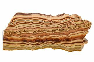 Polished Slab Of Rolling Hills Dolomite - Mexico #324337