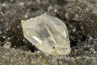 Herkimer Diamonds in Matrix - The Ace of Diamonds Mine, New York #324460