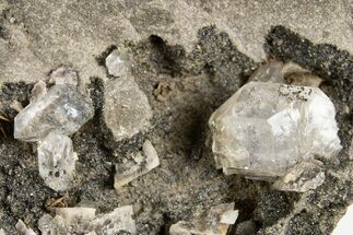 Herkimer Diamonds in Matrix - The Ace of Diamonds Mine, New York #324475