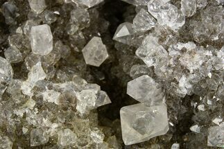 Herkimer Diamonds in Matrix - The Ace of Diamonds Mine, New York #324496