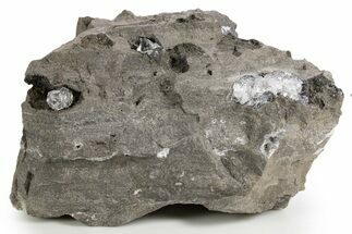 Herkimer Diamonds in Matrix - The Ace of Diamonds Mine, New York #324508