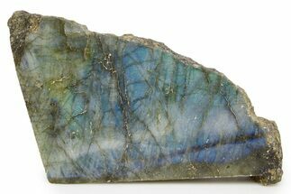 Single Side Polished Labradorite Section - Madagascar #324637