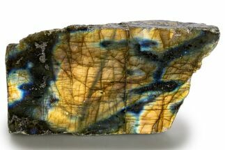 Single Side Polished Labradorite Section - Madagascar #324642