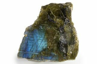 Single Side Polished Labradorite Section - Madagascar #324649