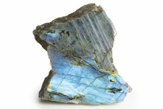 Single Side Polished Labradorite Section - Madagascar #324651