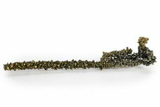 Iridescent Marcasite Crystal Stalactite - Linwood Mine, Iowa #324785