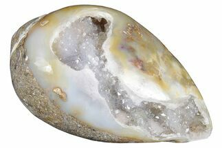 Chalcedony Replaced Gastropod With Sparkly Quartz - India #320804