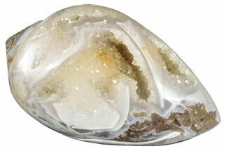 Chalcedony Replaced Gastropod With Sparkly Quartz - India #320808