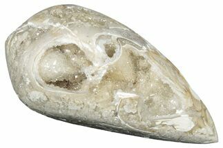 Chalcedony Replaced Gastropod With Sparkly Quartz - India #320830