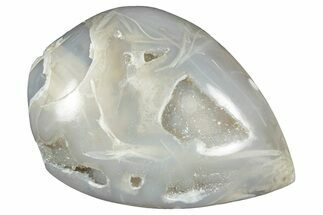 Chalcedony Replaced Gastropod With Sparkly Quartz - India #320833