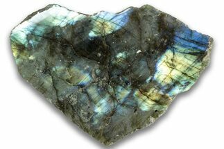 Single Side Polished Labradorite Section - Madagascar #324656