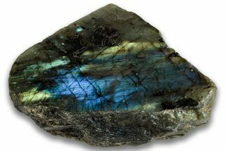 Single Side Polished Labradorite Section - Madagascar #324680