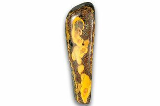 Very Vibrant, Free-Standing Polished Bumblebee Jasper #324960