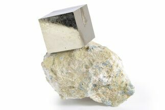 Natural Pyrite Cube In Rock - Navajun, Spain #324977
