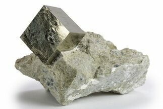 Natural Pyrite Cube In Rock - Navajun, Spain #324992