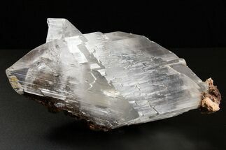 Glassy Selenite Crystal Cluster - Naica Mine, Mexico #325055