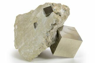 Four Shiny Natural Pyrite Cubes in Rock - Navajun, Spain #325107