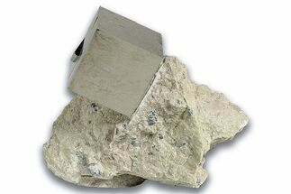Natural Pyrite Cube In Rock - Navajun, Spain #325015