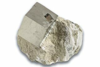 Natural Pyrite Cube In Rock - Navajun, Spain #325024