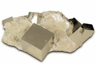 Six Lustrous Natural Pyrite Cubes in Rock - Navajun, Spain #325114