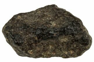 Abadla CM Chondrite Meteorite ( g) - Algeria #313086