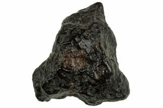 Abadla CM Chondrite Meteorite ( g) - Algeria #313094