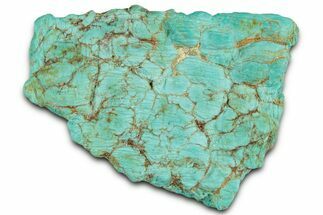 Teal Blue Chilean Turquoise Nugget ( grams) #325524