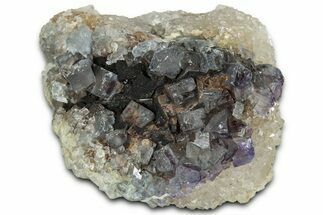 Blue/Purple Cubic Fluorite Crystals on Quartz - New Mexico #326164