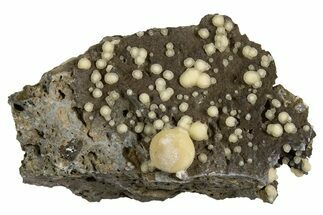 Globular Yellow Calcite Formations on Basalt - Italy #325608