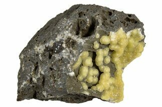 Globular Yellow Calcite Formations on Basalt - Italy #325617