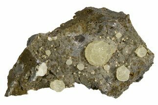 Globular Calcite Formations on Basalt - Italy #325620