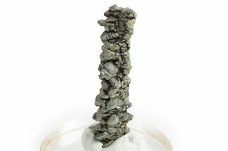 Glistening Marcasite Crystal Stalactite - Linwood Mine, Iowa #326007