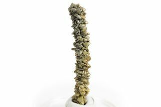 Glistening Marcasite Crystal Stalactite - Linwood Mine, Iowa #326027