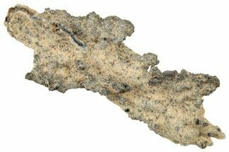 Fulgurite - Petrified Lightning #326111