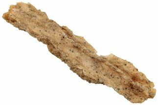 Fulgurite - Petrified Lightning #326121