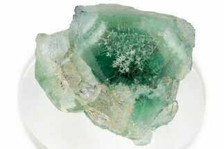 Green Cubic Fluorite Cluster With Purple Edges - Okorusu Mine #326545