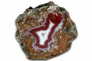 Polished, Vibrant, Banded Agate - Kerrouchen, Morocco #326534