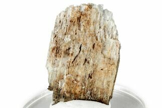 Silky Eudidymite Crystal Formation - Malawi #326673