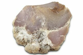 Agate Replaced Petrified Wood Limb Cast - Nevada #326677