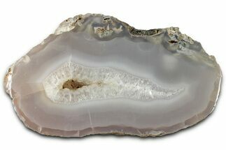 Polished Agate Replaced Petrified Wood Limb Cast - Oregon #326683