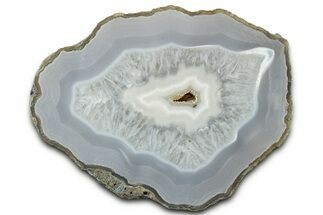 Polished Agate Replaced Petrified Wood Limb Cast - Oregon #326684