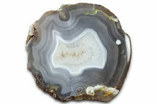 Polished Agate Replaced Petrified Wood Limb Cast - Oregon #326685