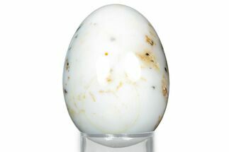 Polished Moss Agate Egg - Australia #326802