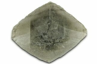 Selenite Crystal - Elder County, Utah #327005