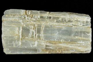 Natural Ulexite Crystal Formation - California #327393
