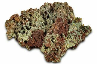 Wulfenite & Green Botryoidal Mimetite Association - Mexico #327464