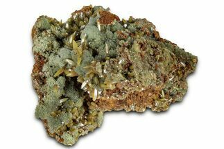 Wulfenite & Green Botryoidal Mimetite Association - Mexico #327471