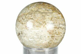 Polished Petrified Palm Wood Sphere - Indonesia #327416