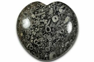 Fossil Crinoid Stems In Marble Heart #328327
